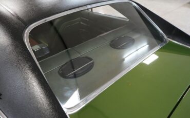 Unknown-Charger-1970-Green-Green-41