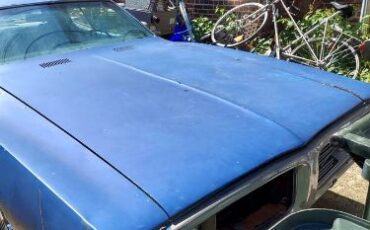 Unknown-Charger-1973-Blue-3