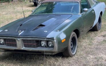 Unknown-Charger-1973-Green