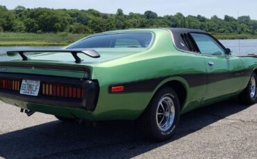 Unknown-Charger-1973-Green-Green-12