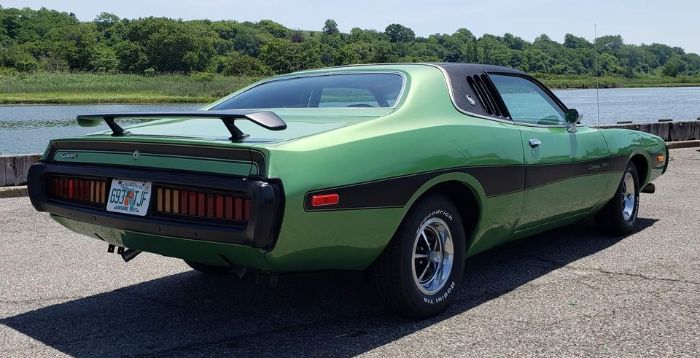 Unknown-Charger-1973-Green-Green-12