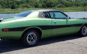 Unknown-Charger-1973-Green-Green-13