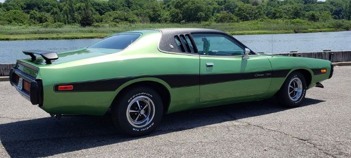 Unknown-Charger-1973-Green-Green-13