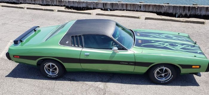 Unknown-Charger-1973-Green-Green-15