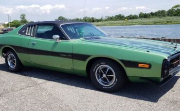 Unknown-Charger-1973-Green-Green-16