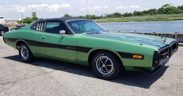 Unknown-Charger-1973-Green-Green-16
