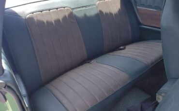 Unknown-Charger-1973-Green-Green-6