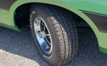 Unknown-Charger-1973-Green-Green-9