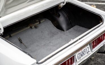 Unknown-Charger-1973-White-Black-12