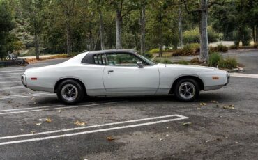 Unknown-Charger-1973-White-Black-16