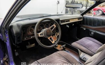 Unknown-Charger-1974-Plum-Crazy-Purple-Black-3