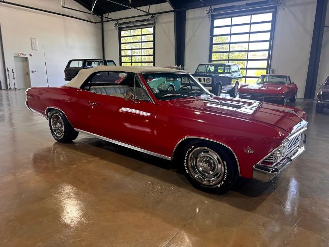 Unknown-Chevelle-1966-15
