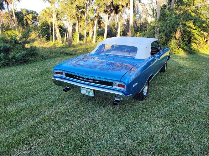 Unknown-Chevelle-1966-Blue-White-12