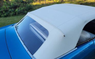 Unknown-Chevelle-1966-Blue-White-30