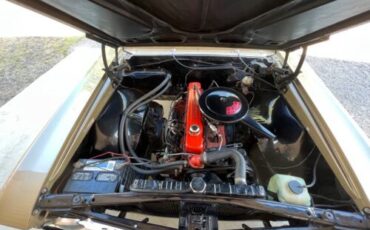 Unknown-Chevelle-1966-Brown-2