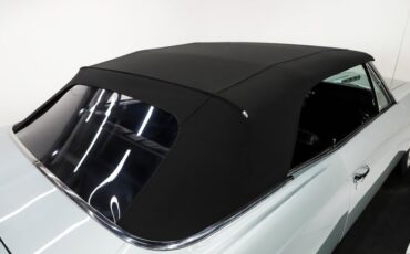 Unknown-Chevelle-1966-Cortez-Silver-Black-10