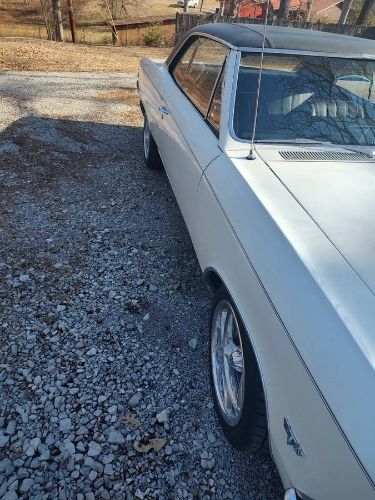 Unknown-Chevelle-1966-Pearl-WhiteBlack-Vi-5