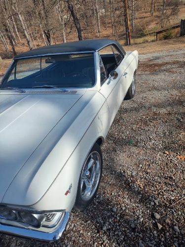 Unknown-Chevelle-1966-Pearl-WhiteBlack-Vi