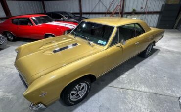 Unknown-Chevelle-1967-Granada-Gold-3