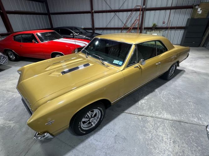 Unknown-Chevelle-1967-Granada-Gold-3