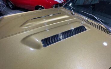 Unknown-Chevelle-1967-Granada-Gold-31