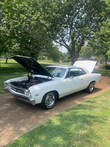 Unknown-Chevelle-1967-White-6