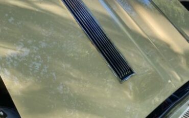 Unknown-Chevelle-1967-Yellow-Black-32