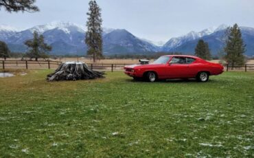 Unknown-Chevelle-1969-4
