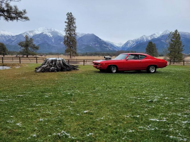 Unknown-Chevelle-1969-4