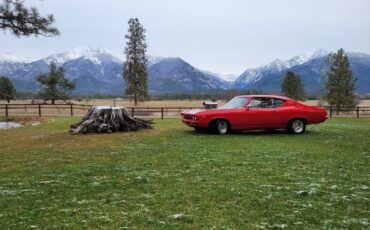 Unknown-Chevelle-1969-5
