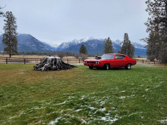Unknown-Chevelle-1969-6
