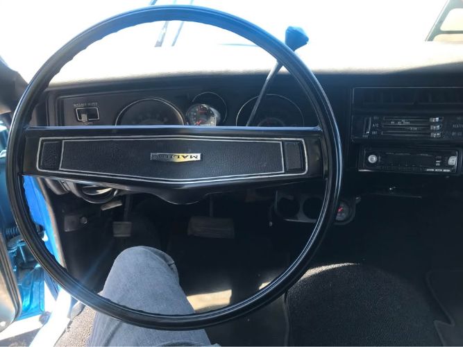 Unknown-Chevelle-1969-Blue-11