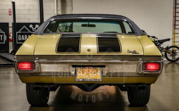 Unknown-Chevelle-1970-Champagne-Gold-Gold-31