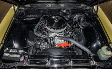 Unknown-Chevelle-1970-Champagne-Gold-Gold-4