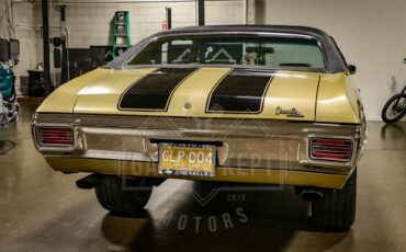 Unknown-Chevelle-1970-Champagne-Gold-Gold-44