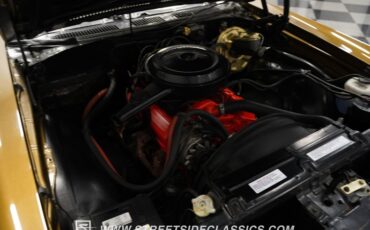 Unknown-Chevelle-1972-Golden-Brown-Tan-31