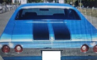 Unknown-Chevelle-1972-Metatherian-Blue-Bl-Black-6