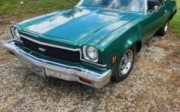Unknown-Chevelle-1973