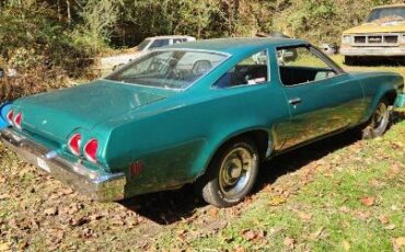 Unknown-Chevelle-1973-5