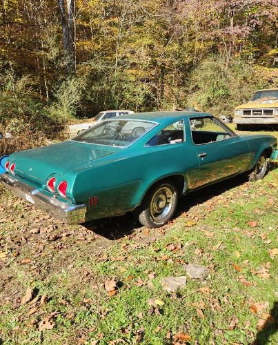Unknown-Chevelle-1973-5