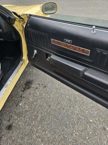 Unknown-Chevelle-1973-Yellow-13