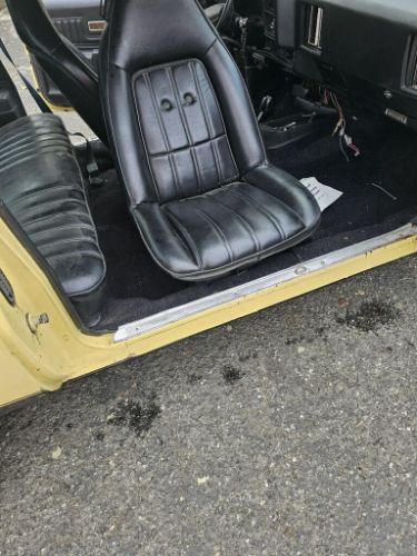 Unknown-Chevelle-1973-Yellow-5