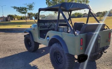 Unknown-Cj5-1957-Green-3