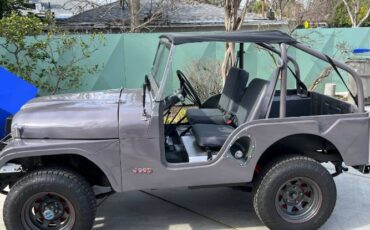 Unknown-Cj5-1960-Gray
