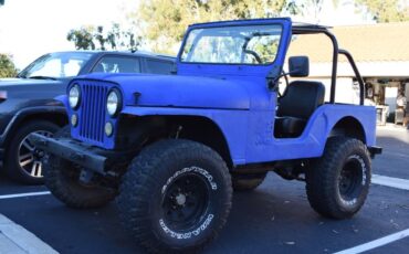 Unknown-Cj5-1971-Blue