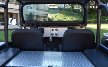 Unknown-Cj5-1971-Blue-7