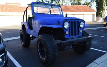 Unknown-Cj5-1971-Blue-9