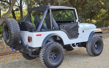 Unknown-Cj5-1972-WhiteBlack-Black-14