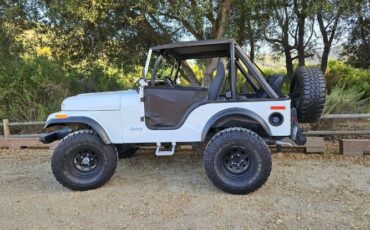 Unknown-Cj5-1972-WhiteBlack-Black-19