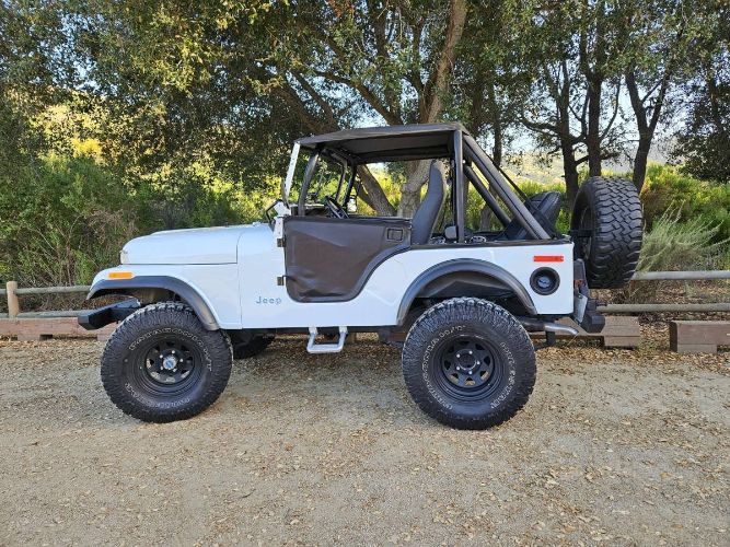 Unknown-Cj5-1972-WhiteBlack-Black-19